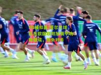PG模拟器:爱尔兰球队在欧国联附加赛中功败垂成，憾负对手